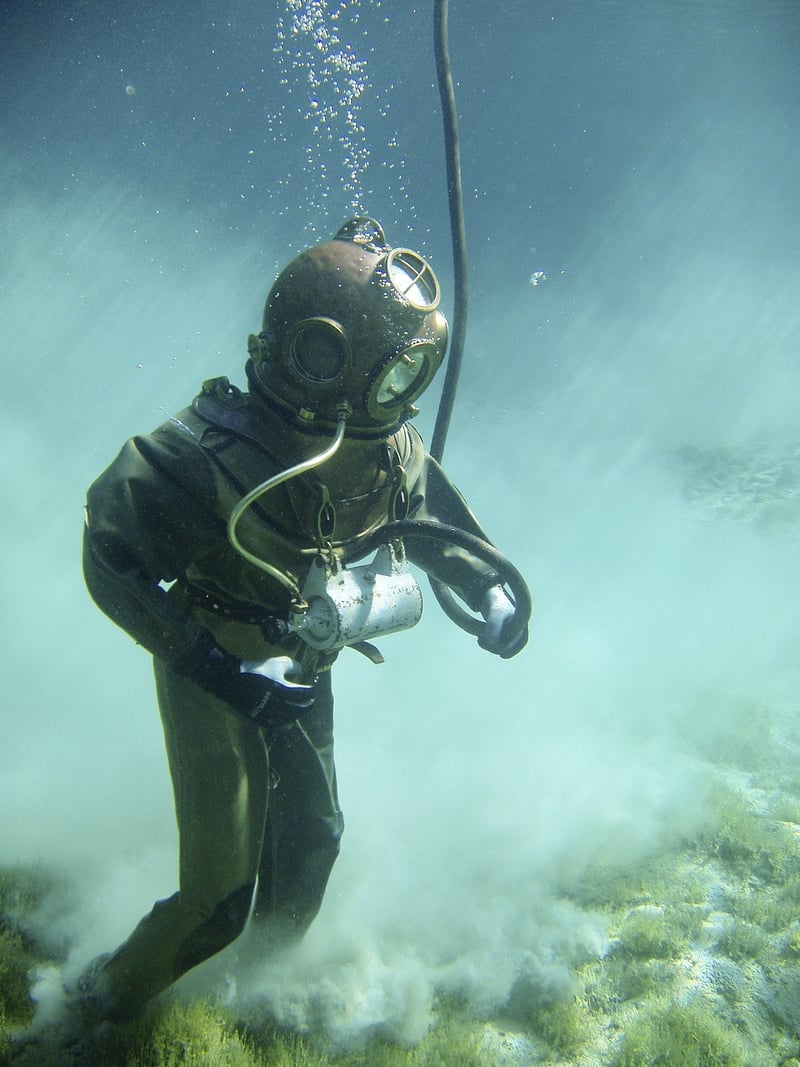 Diving with sharks